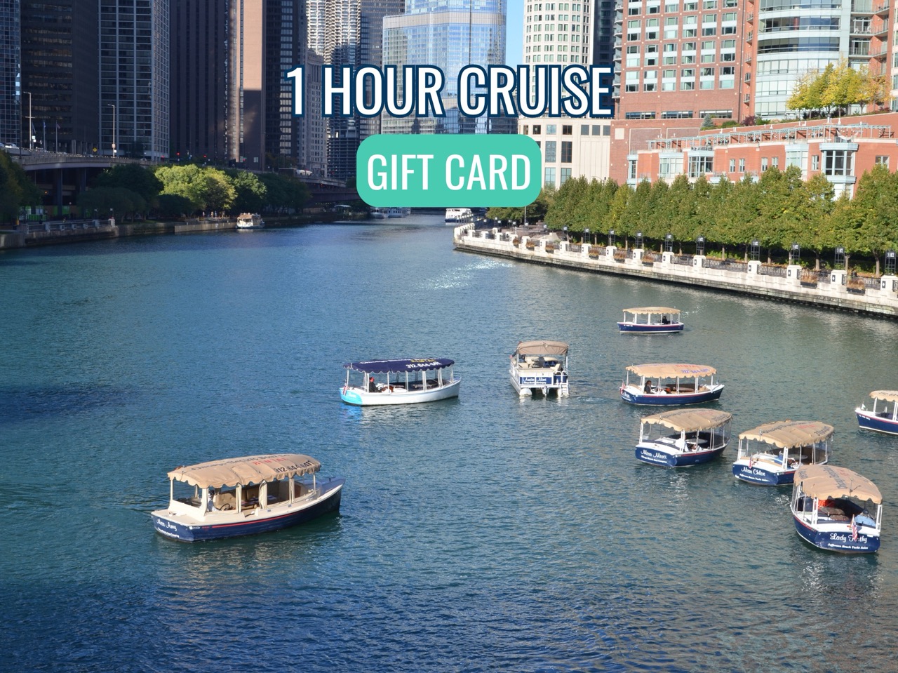 GIFT CARD: One-Hour Luxe Loop Pass